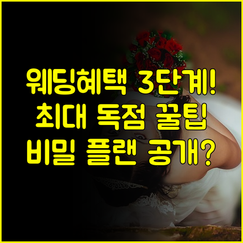 서울 웨딩박람회 3단계 마스터 플랜 최대 독점 혜택 받는 비밀