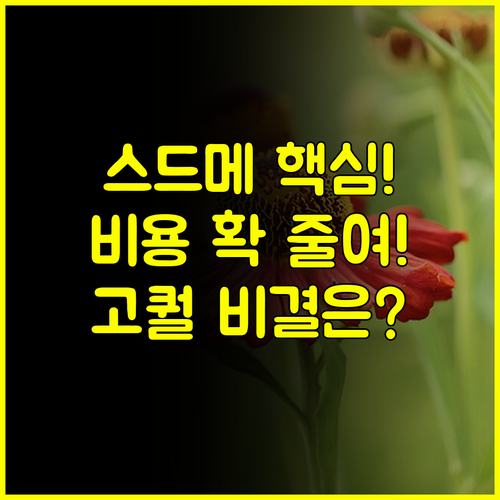 MBC 웨딩박람회 스드메 최적화 패키지 비용은 낮추고 퀄리티 올리는 비결