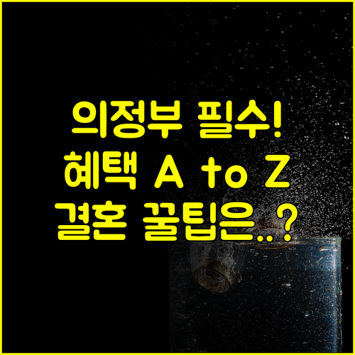 현명한 결혼 준비 의정부 웨딩박람회 일정부터 혜택까지 A to Z