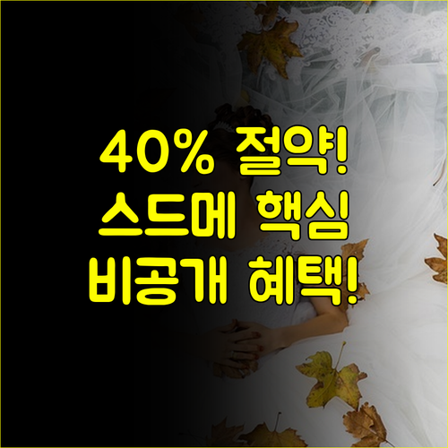 코엑스 웨딩박람회 40% 결혼 예산 절감 비공개 혜택 일정 스드메