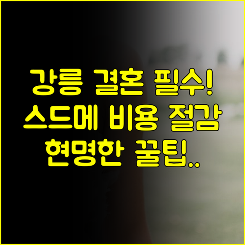 현명한 강릉 결혼준비 웨딩박람회 일정부터 스드메 비용 절감 팁까지 공개