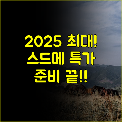 창원 웨딩박람회 일정 2025년 스드메 특가 최대 혜택받고 결혼 준비 끝내기