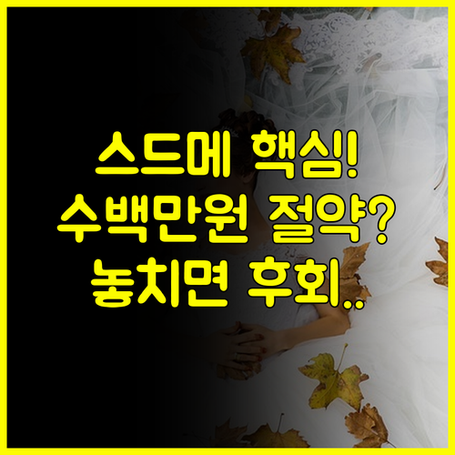 서울 웨딩박람회 스드메 비용 수백만원 절약하는 역대급 파격 혜택 공개