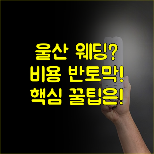 울산 웨딩박람회 혜택으로 수백만원 결혼 비용 완벽하게 줄이기