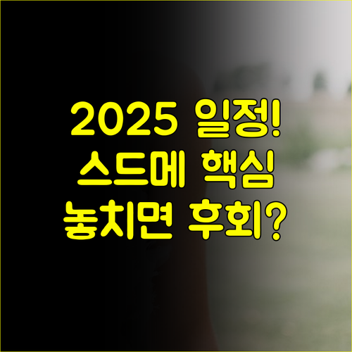 2025 명동 웨딩박람회 일정 스드메 최신 트렌드와 비용 절감