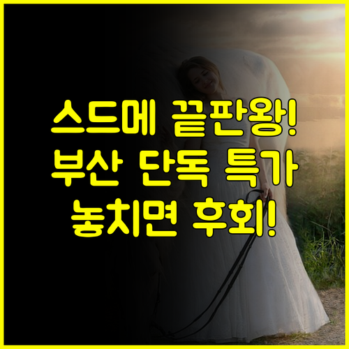 웨딩홀 스드메 최적화 부산 웨딩박람회 1대1 맞춤 컨설팅