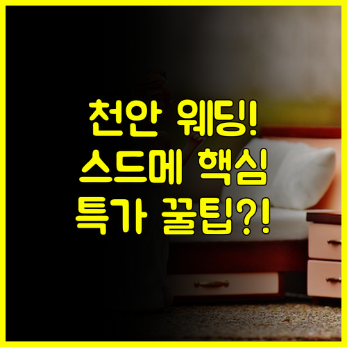 천안 웨딩박람회 일정 웨딩홀 스드메 허니문 총정리 특가 정보 공개