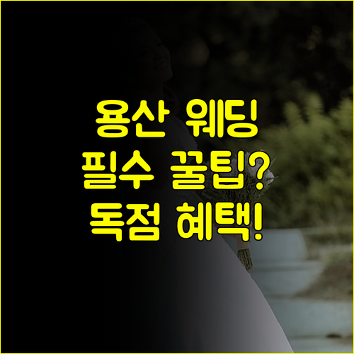 용산 웨딩박람회 예비부부 필수 체크리스트 독점 혜택 선점 전략