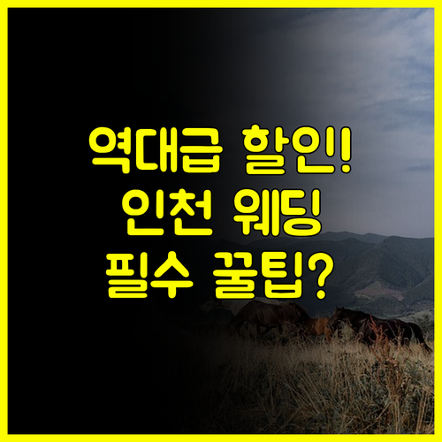 2025 인천 웨딩박람회 일정 스드메 최대 50% 할인 특전 완벽 정리