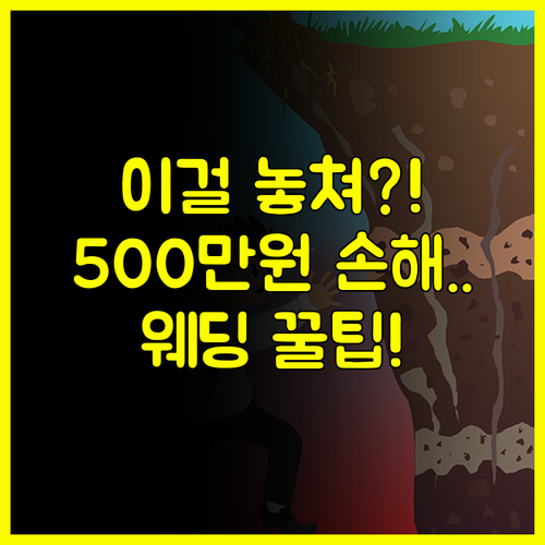 대전 웨딩박람회 현명한 활용법 전문가 1:1 상담으로 결혼 예산 500만원 절약