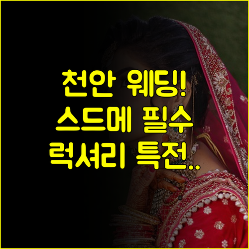 천안 웨딩박람회 프리미엄 드레스 스드메 라인업 럭셔리 특전 공개