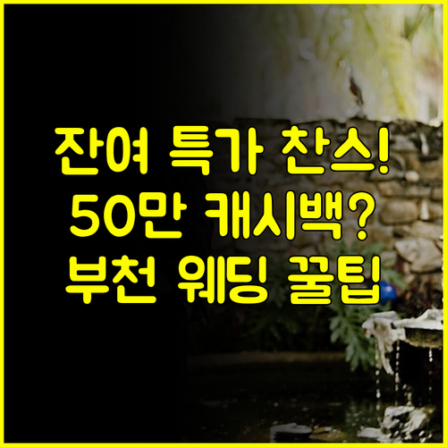 부천 결혼박람회 특전! 잔여 타임 특가와 50만원 추가 캐시백 받는 법
