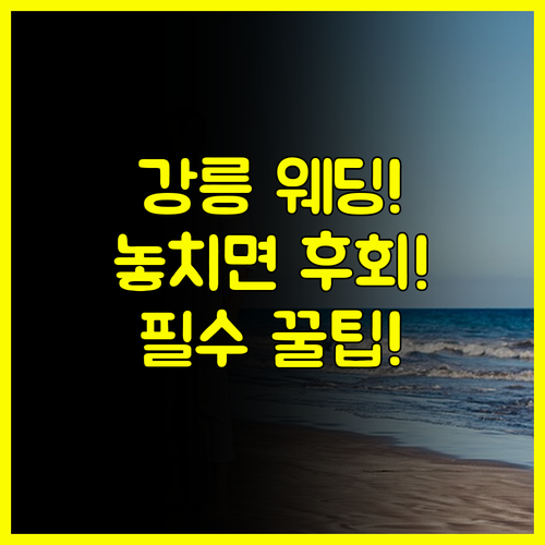 2025 강릉 웨딩박람회 놓치면 후회할 핵심 혜택 정리