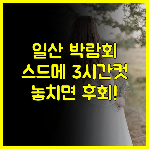 3시간 만에 끝! 일산 웨딩박람회에서 스드메 상담 효율적으로 끝내는 동선 팁