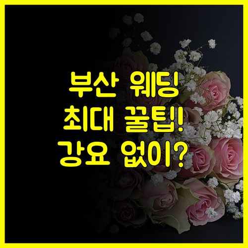 부산 결혼박람회 계약 강요 없이 무료 입장하고 최대 혜택만 받는 법