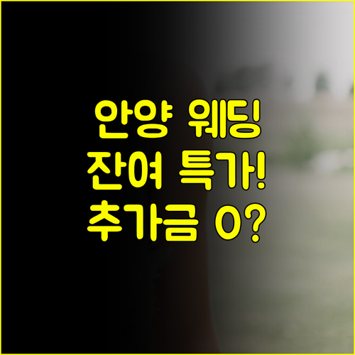 안양 결혼박람회 혜택 A to Z: 웨딩홀 잔여 타임 특가와 추가금 방지 꿀팁