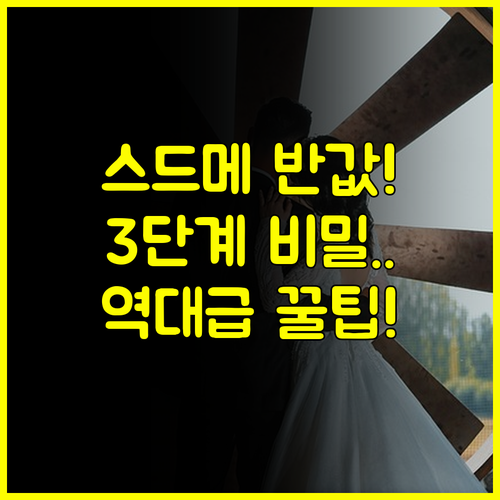 스드메 반값 이천 웨딩박람회 역대급 할인 받는 3단계 비밀