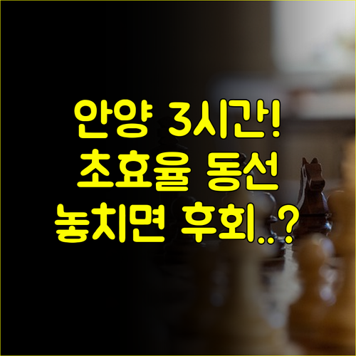 시간 낭비 없는 효율적인 안양 결혼박람회 3시간 집중 상담 동선 팁