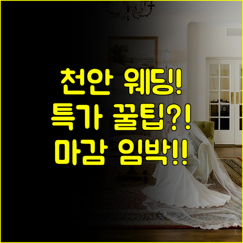 천안 결혼준비 필수 코스 웨딩박람회 현장 특전 잔여 타임 특가