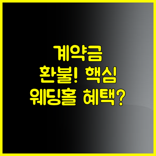 안양 결혼박람회 계약금 환불 규정 웨딩홀 스드메 혜택 꼼꼼 분석