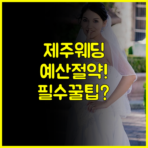 제주 웨딩박람회 완전 정복 일정부터 예산 절감 비법까지 팁 총정리
